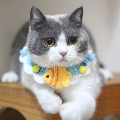 Hand-Knitted Wool Pet Collar Scarf Adjustable for Dogs and Cats