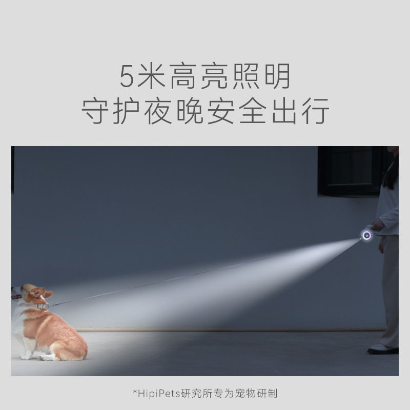 Light-Triggered Automatic Dog Leash with Glow in Dark